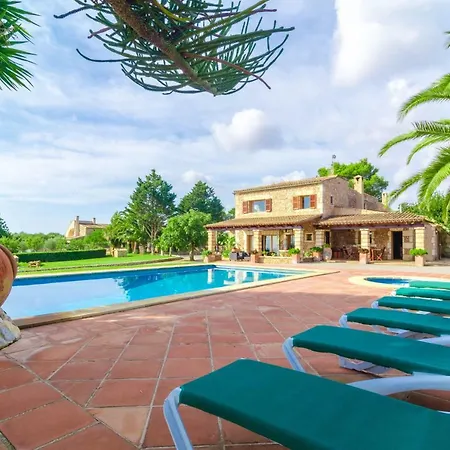 Bosco 8 Son Carrio (Llevant)